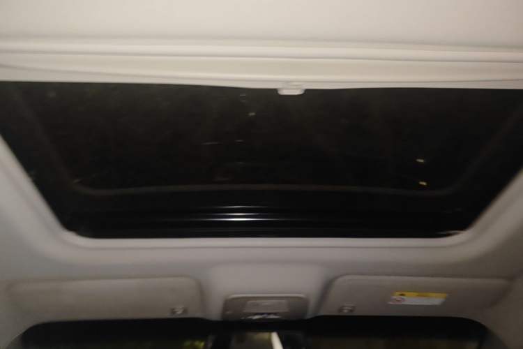 Used Buick GL8 2020 Land Business Class 652T Luxury Model Headliner