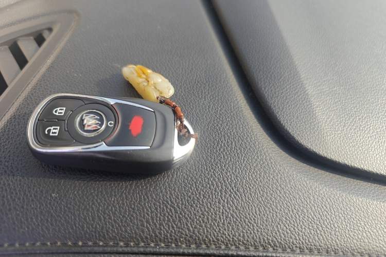 Used Buick GL8 2020 ES Land Cruiser 653T Comfort Edition Vehicle Key