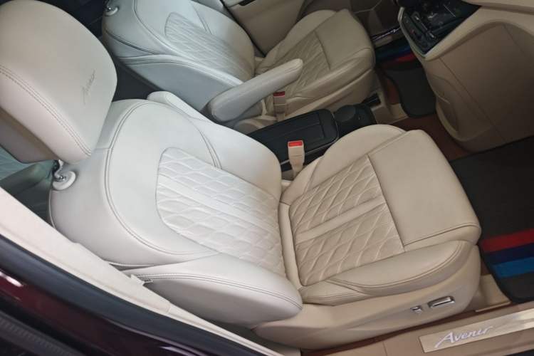 Used Buick GL8 2020 Avenir Avia Six-Seat Deluxe Edition Right Front Seat