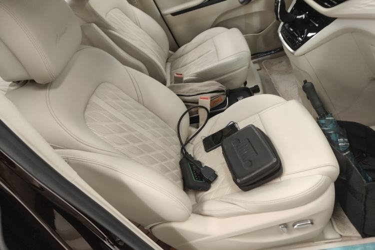 Used Buick GL8 2020 Avenir Avia Six-Seat Deluxe Edition Right Front Seat