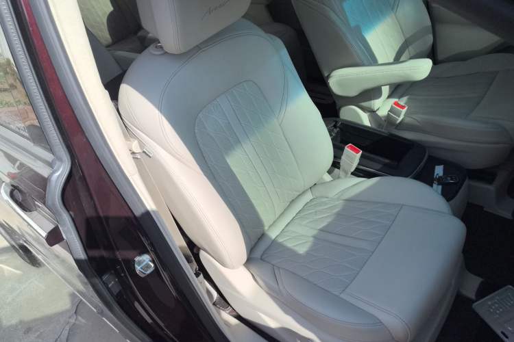 Used Buick GL8 2020 Avenir Avia Six-Seat Deluxe Edition Right Front Seat