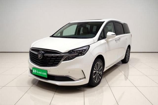 Buick GL8 2020 ES Land Cruiser 653T Flagship Model de segunda mano
