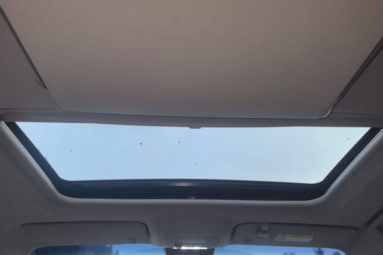 Used Buick GL8 2020 Land Business Class 652T Premium Model Headliner