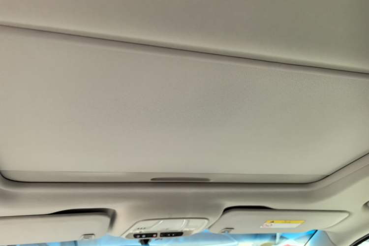 Used Buick GL8 2020 ES Land Cruiser 653T Comfort Edition Headliner