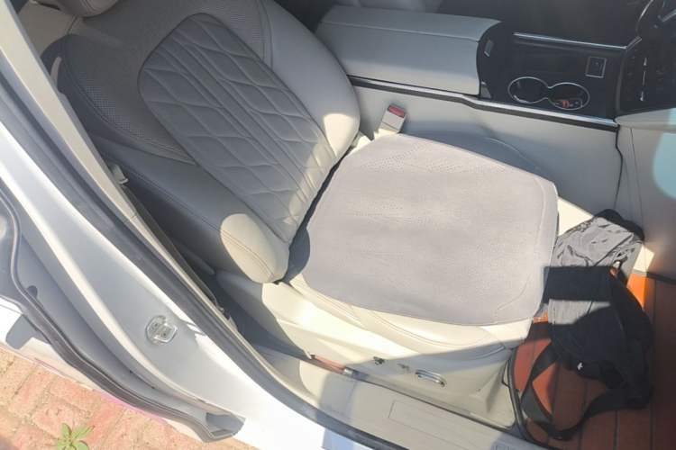 Used Buick GL8 2020 ES Land Cruiser 653T Comfort Edition Right Front Seat