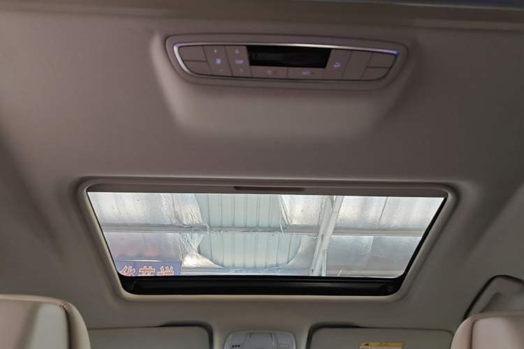 Used Buick GL8 2020 ES Land Cruiser 653T Comfort Edition Headliner