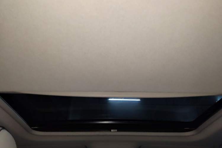 Used Buick GL8 2020 Land Business Class 652T Premium Model Headliner