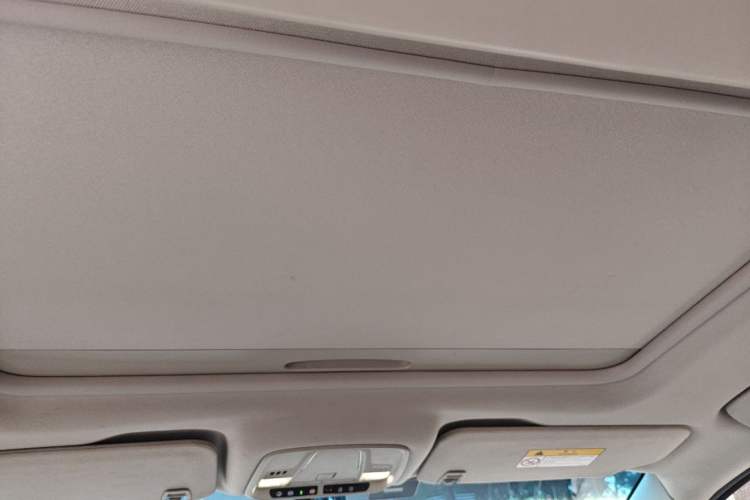 Used Buick GL8 2020 ES Land Cruiser 653T Comfort Edition Headliner