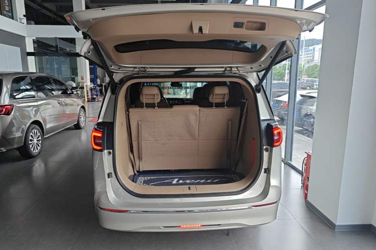 Used Buick GL8 2020 ES Land Cruiser 653T Luxury Model Trunk