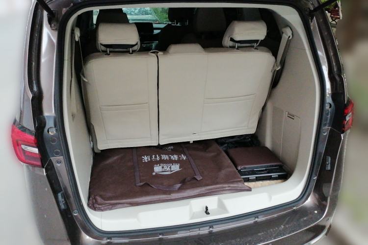 Used Buick GL8 2020 Land Business Class 652T Luxury Model Trunk