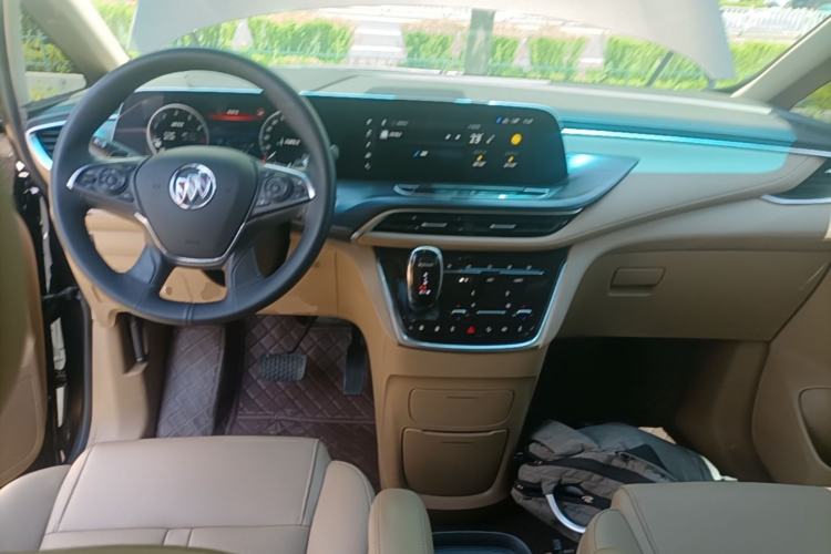 Used Buick GL8 2021 ES Landtrek 653T Luxury Model Center Console