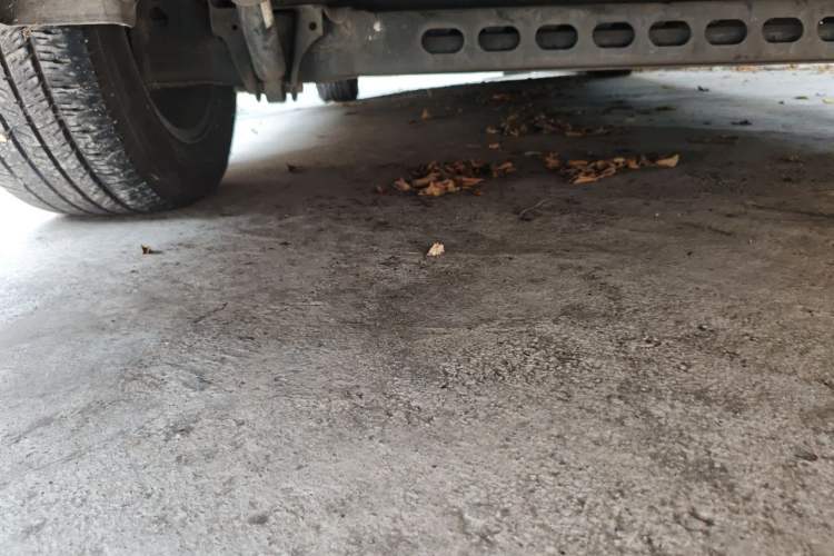 Used Buick GL8 2021 Land Cruiser Executive Class 652T Comfort Model Chassis Rear