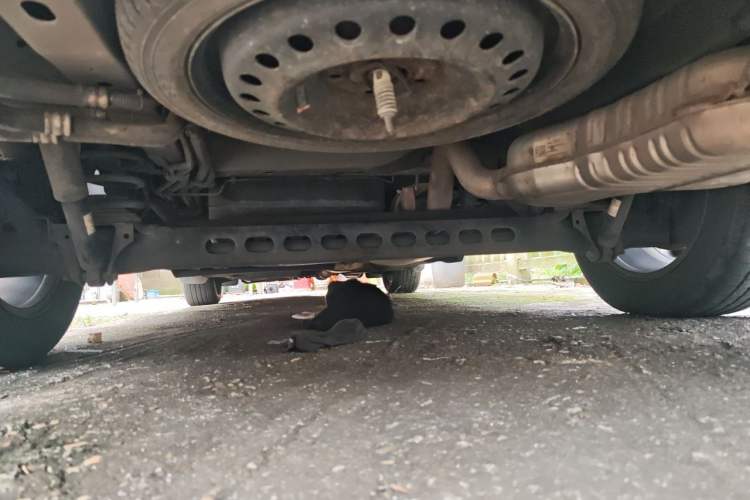 Used Buick GL8 2021 Land Cruiser Executive Class 652T Luxury Model Chassis Rear