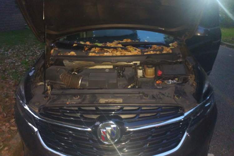 Used Buick GL8 2021 Land Cruiser Executive Class 652T Luxury Model Engine Bay