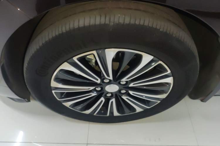 Used Buick GL8 2021 ES Landtrek 653T Luxury Model Exterior 3
