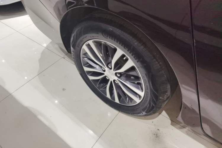 Used Buick GL8 2021 ES Landtrek 653T Comfort Edition Exterior 5