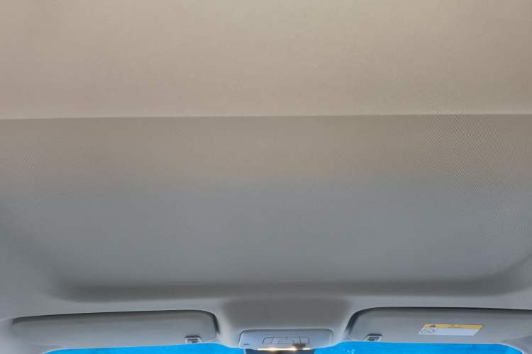 Used Buick GL8 2021 Land Cruiser Executive Class 652T Comfort Model Headliner