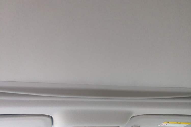 Used Buick GL8 2021 Land Cruiser Executive Class 652T Smart Luxury Model Headliner