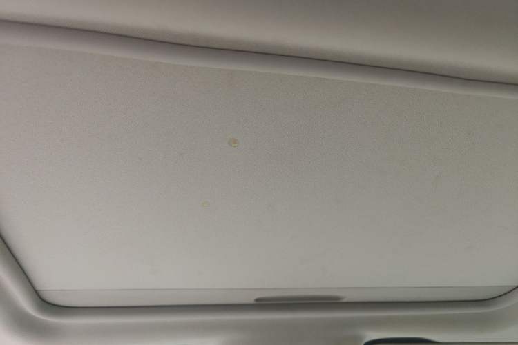 Used Buick GL8 2021 ES Landtrek 653T Comfort Edition Headliner