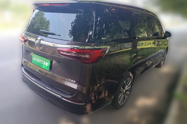Used Buick GL8 2021 ES Landtrek 653T Luxury Model Rear Right 45 Deg