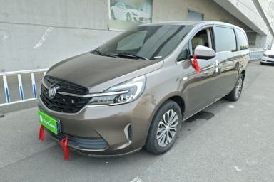 Used Buick GL8 2021 Land Cruiser Executive Class 652T Comfort Model