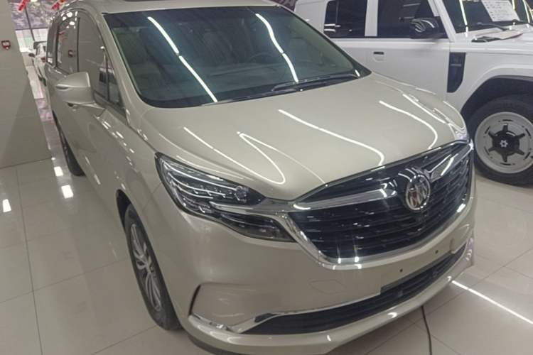 Used Buick GL8 2021 ES Landtrek 653T Comfort Edition Exterior 1