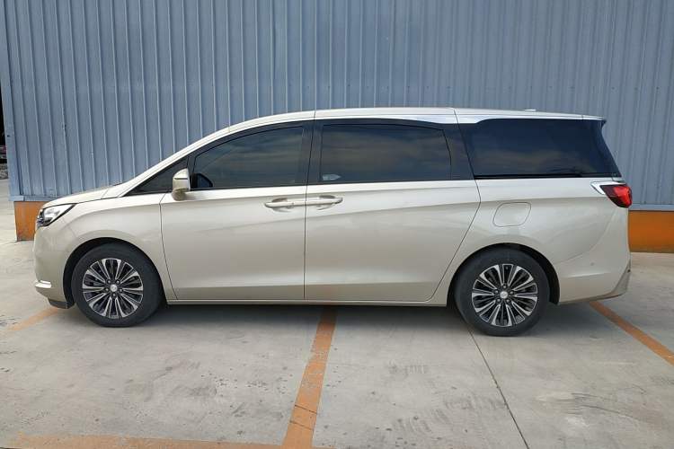 Used Buick GL8 2021 ES Landtrek 653T Luxury Model Exterior 3