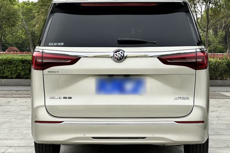 Used Buick GL8 2021 ES Landtrek 653T Luxury Model Exterior 4