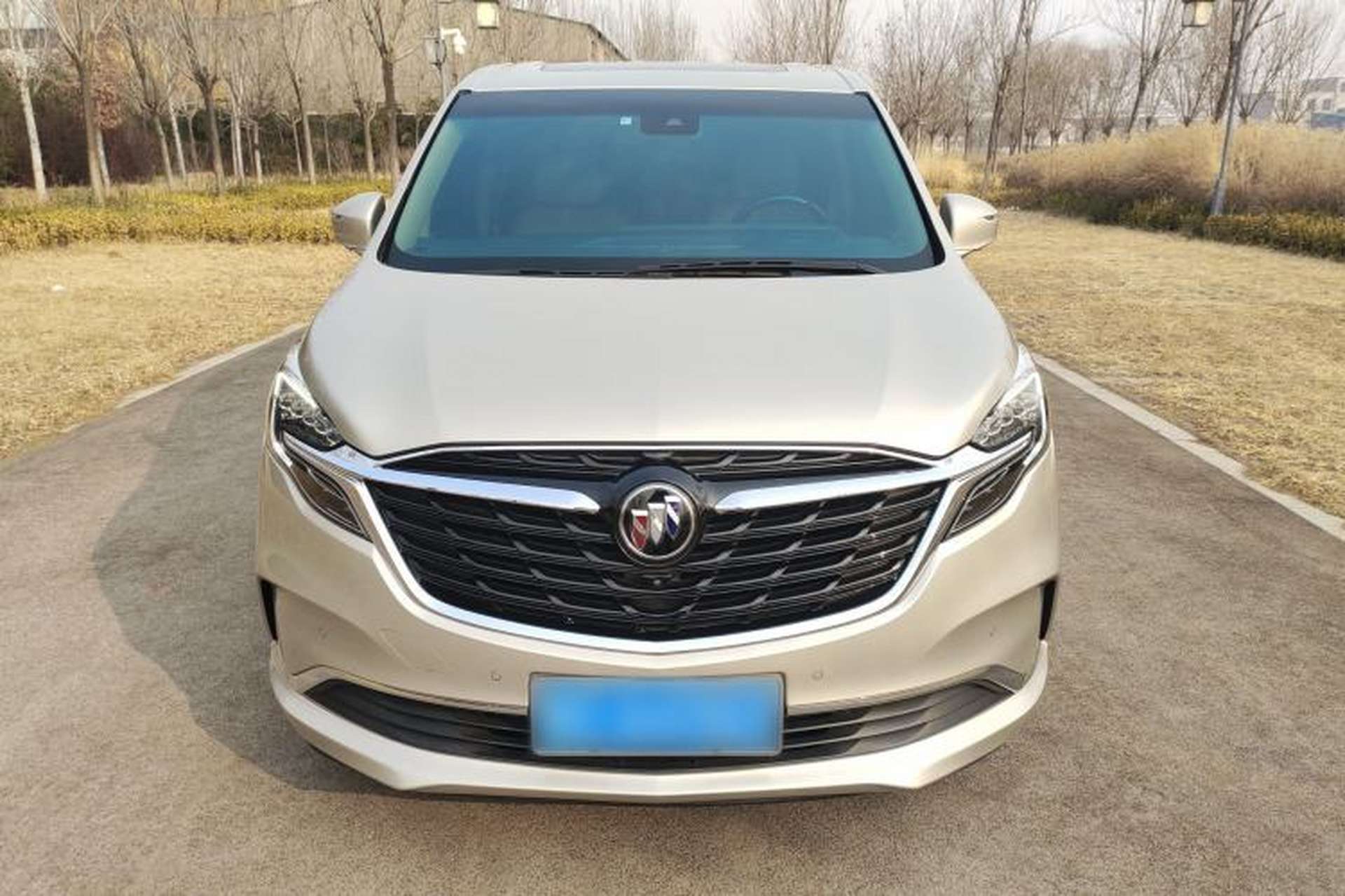 Used Buick GL8 2021 ES Landtrek 653T Luxury Model Front