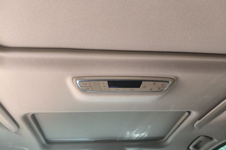 Used Buick GL8 2021 ES Landtrek 653T Luxury Model Headliner