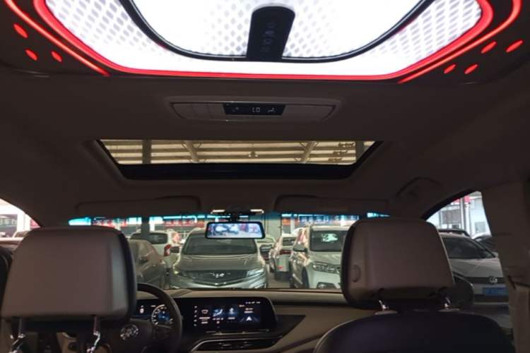 Used Buick GL8 2021 ES Landtrek 653T Comfort Edition Headliner