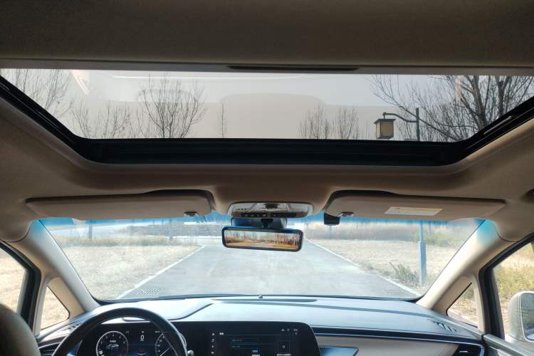 Used Buick GL8 2021 ES Landtrek 653T Luxury Model Headliner