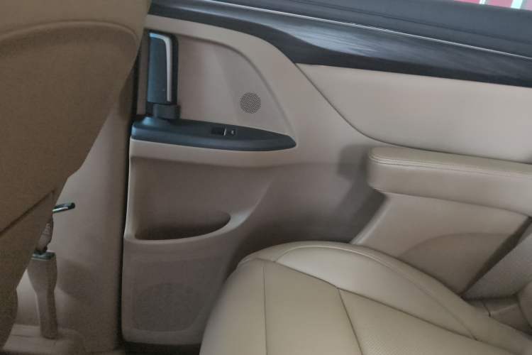 Used Buick GL8 2021 ES Landtrek 653T Luxury Model Left Rear Door Interior