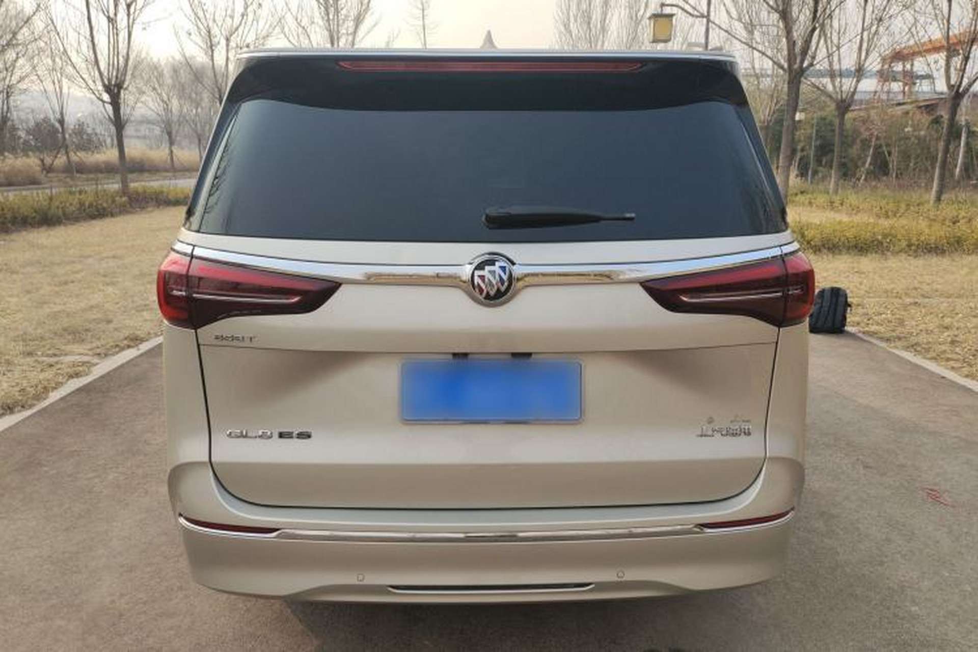 Used Buick GL8 2021 ES Landtrek 653T Luxury Model Rear