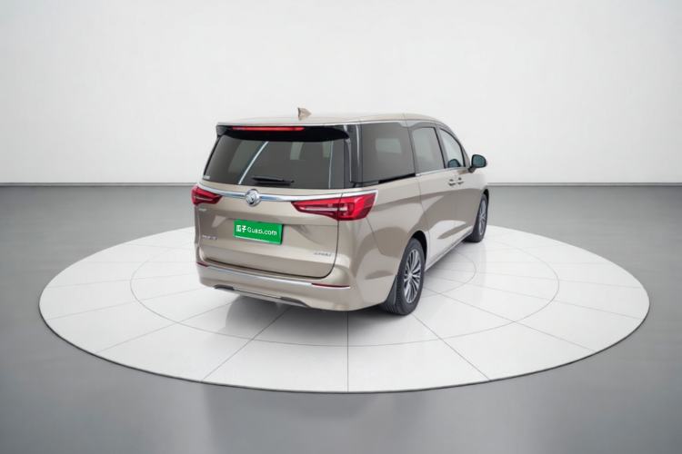 Used Buick GL8 2021 ES Landtrek 653T Luxury Model Rear Right 45 Deg