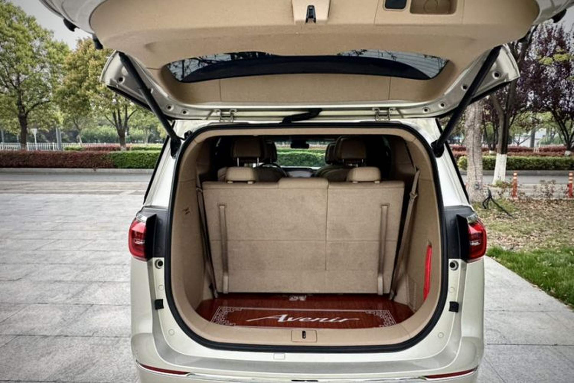 Used Buick GL8 2021 ES Landtrek 653T Luxury Model Trunk