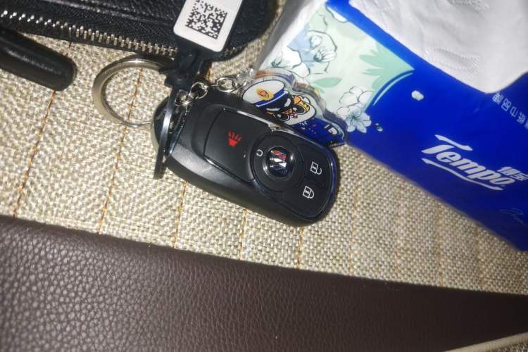 Used Buick GL8 2021 ES Landtrek 653T Comfort Edition Vehicle Key