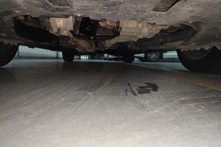 Used Buick GL8 2021 ES Land Cruiser 653T Luxury Edition Chassis Front