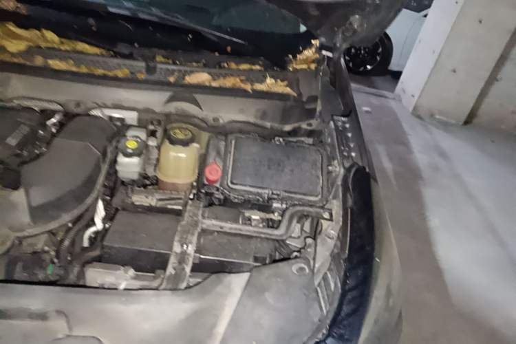 Used Buick GL8 2021 Land Cruiser Executive Class 652T Smart Luxury Model Engine Bay Left