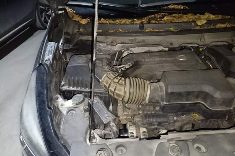 Used Buick GL8 2021 Land Cruiser Executive Class 652T Smart Luxury Model Engine Bay Right