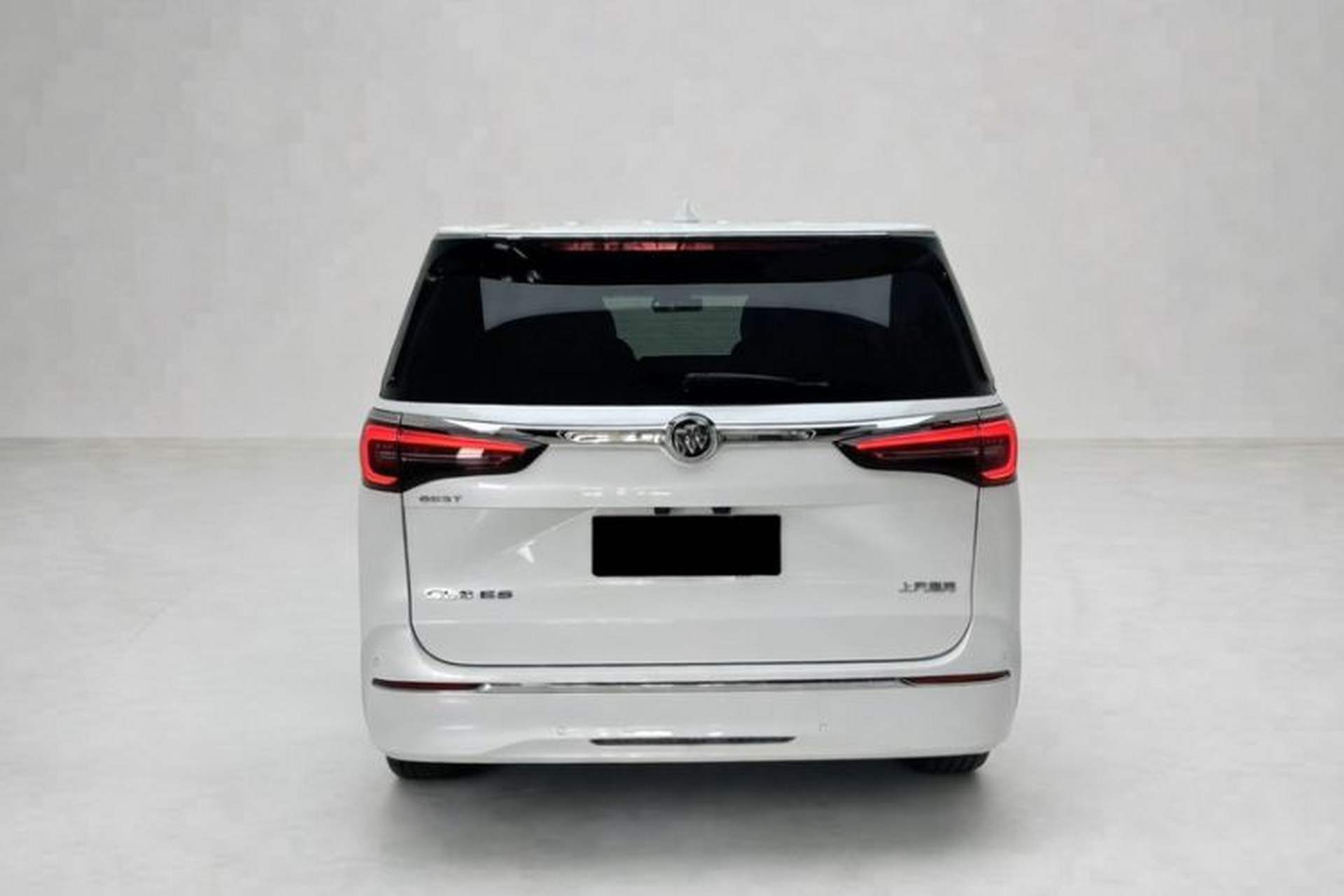 Used Buick GL8 2021 ES Landtrek 653T Luxury Model Exterior 2