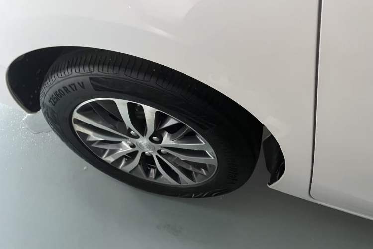Used Buick GL8 2021 ES Landtrek 653T Comfort Edition Exterior 5