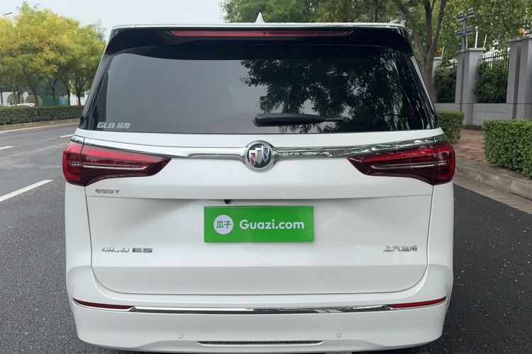 Used Buick GL8 2021 ES Landtrek 653T Comfort Edition Exterior 5