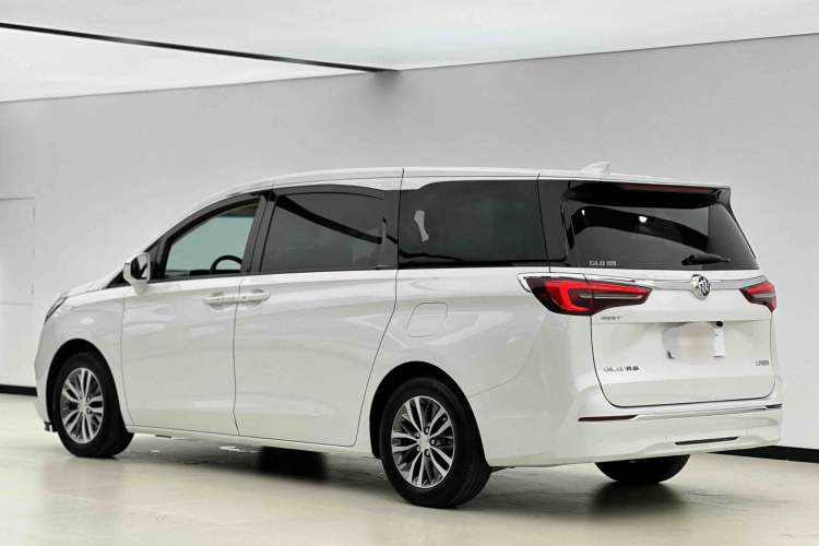 Used Buick GL8 2021 ES Landtrek 653T Comfort Edition Exterior 8