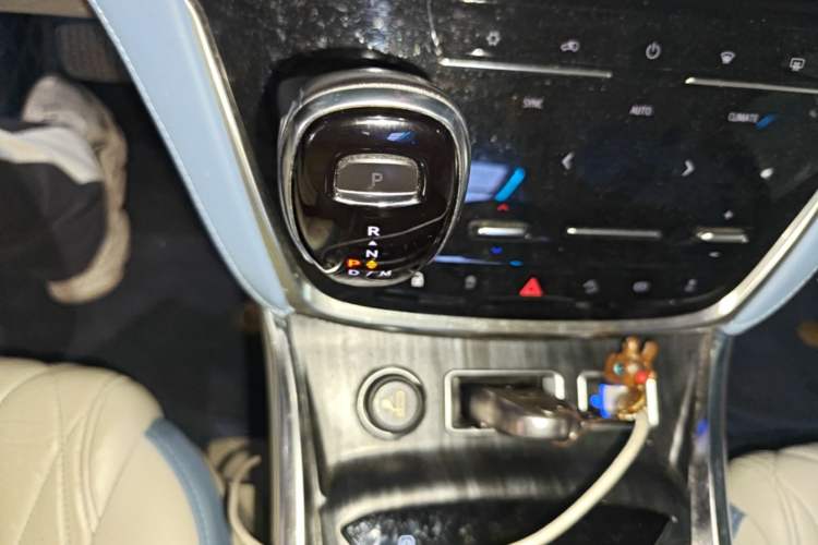 Used Buick GL8 2021 ES Landtrek 653T Comfort Edition Gear Lever