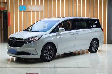 Used Buick GL8 2021 ES Landtrek 653T Luxury Model