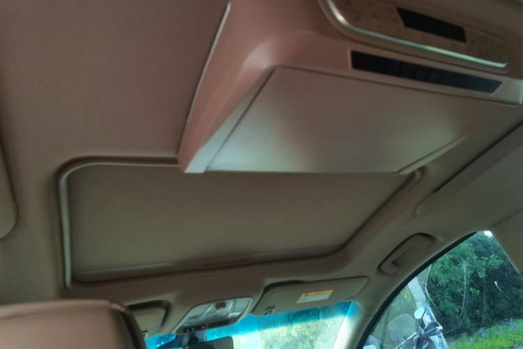 Used Buick GL8 2021 ES Landtrek 653T Luxury Model Headliner