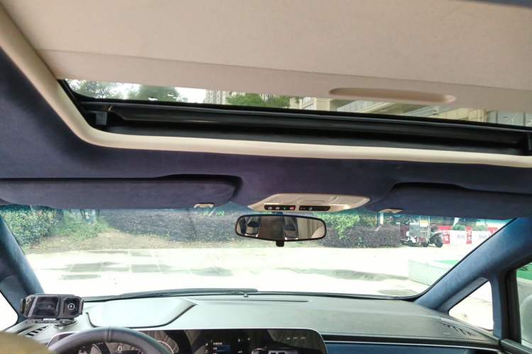 Used Buick GL8 2021 ES Landtrek 653T Comfort Edition Headliner