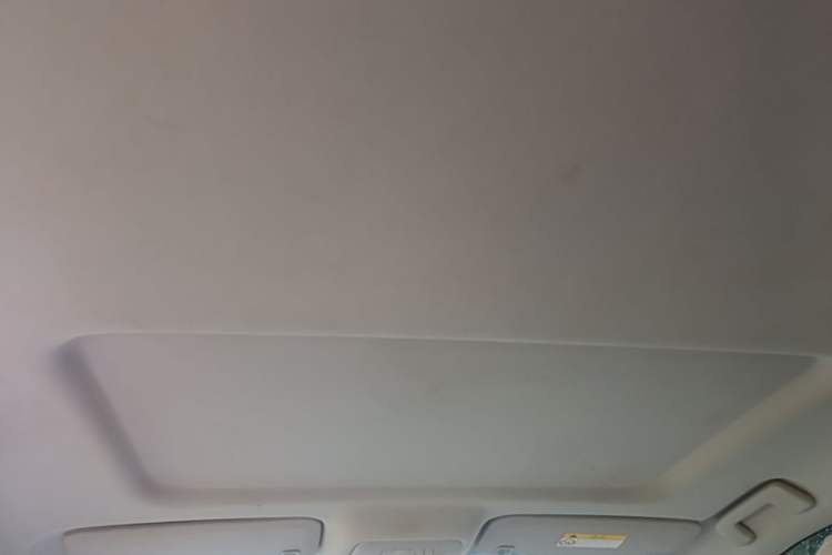 Used Buick GL8 2021 Land Cruiser Executive Class 652T Comfort Model Headliner