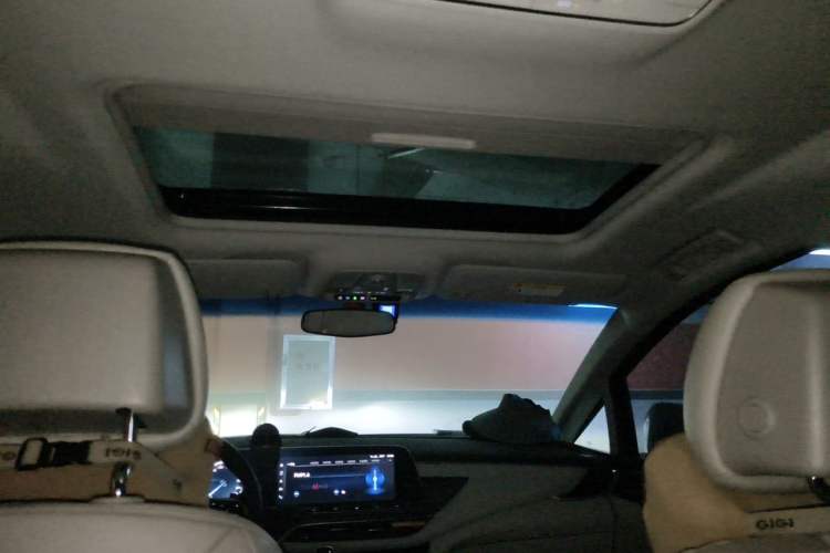 Used Buick GL8 2021 ES Landtrek 653T Comfort Edition Headliner